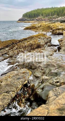 Costa rocciosa dell'Acadia National Park a Bar Harbor, Maine. Foto Stock
