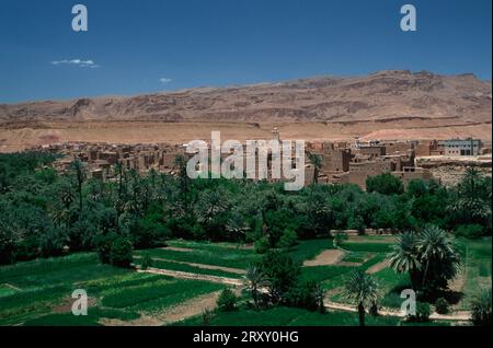 Tinerhir Oasis, alto Atlante, Marocco, Monti dell'Atlante Foto Stock