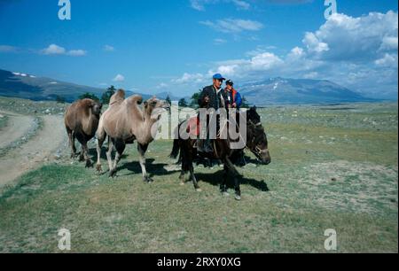 Nomadi kazaki su cavalli che passano con cammelli, cosacco, cammello a due gole, cammello battriano, provincia di Bayan-Olgiy, Monoglia, nomadi kazak sul passaggio dei cavalli Foto Stock