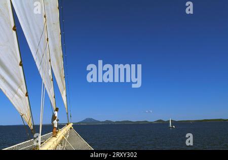 Nave a vela, Star Flyer, Dalmazia, Croazia Foto Stock