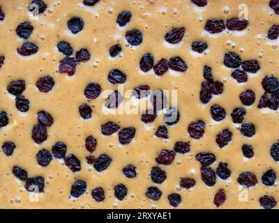 Fotografia macro di un mix di torta cruda con uva passa in cima, pronta per essere cotta nel forno. Foto Stock