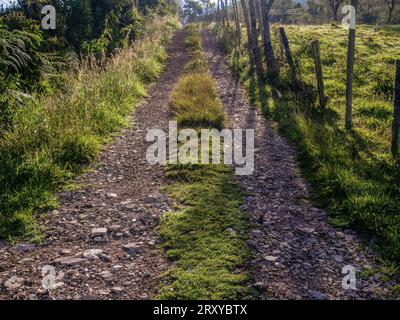 Vista mattutina di una tipica strada rurale realizzata con ghiaia e pietre, negli altopiani orientali della Colombia centrale, vicino alla città di Arcabuco. Foto Stock