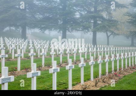 La nebbia circonda le tombe dei soldati che morirono nella prima guerra mondiale nell'Ossario di Douaumont, Verdun, in Francia. Foto Stock