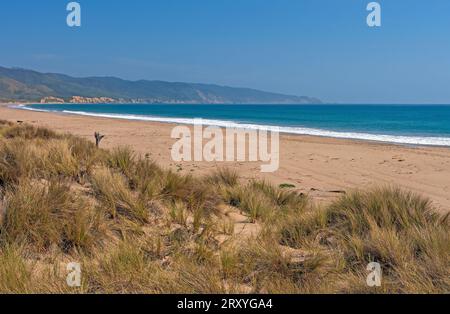 Remote Beach sulla costa californiana nel Point Reyes National Seashore in California Foto Stock