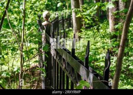 Recinzione metallica con picchi appuntiti nel vecchio parco padronale Foto Stock