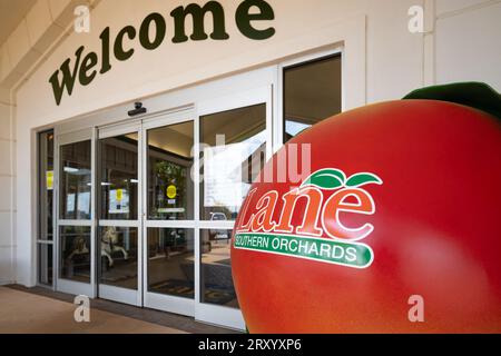 Ingresso al Lane Southern Orchards Roadside Market e caffetteria nella contea di Peach, Georgia. (USA) Foto Stock