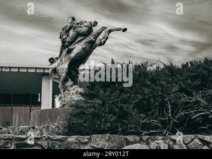 "Early Rodeo", scultura cowboy del rodeo in bronzo dell'artista Richard Terry, si erge davanti al municipio di Prescott, Arizona, per celebrare i 100 anni di rodeo Foto Stock