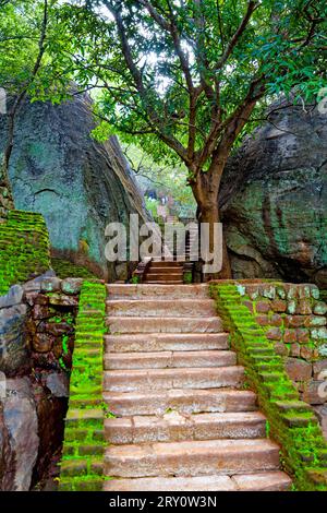 Ingresso all'antica fortezza di Sigiriya. Sri Lanka Foto Stock