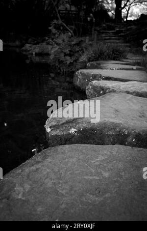 Narita Mountain New Victory Temple Tokyo Giappone Foto Stock