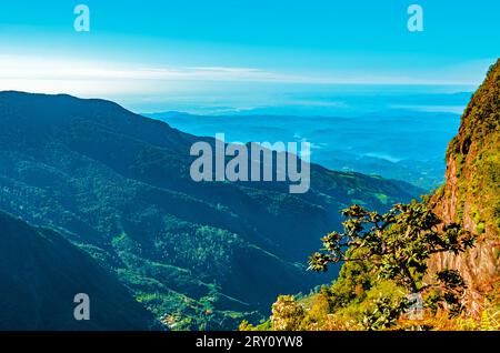 Parco nazionale di Horton Plains. La fine del grande mondo Sri Lanka (Ceylon) Foto Stock