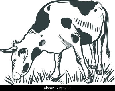 Mucca che pascolava in uno schizzo a inchiostro prato Illustrazione Vettoriale