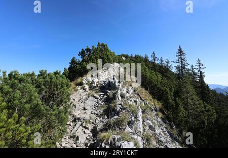 Wallberg, Bayern, Deutschland 27. Settembre 2023: Hier der Blick auf den Grat, Aufstieg zum Risserkogel, Fels, Latschen, wandern, Bergsteigen, Alpin *** Wallberg, Baviera, Germania 27 settembre 2023 qui la vista del crinale, salita al Risserkogel, roccia, pini di montagna, trekking, alpinismo, Alpine Foto Stock