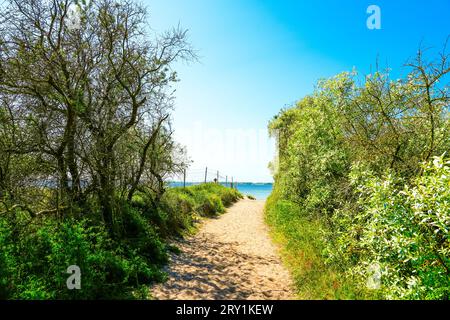 Percorso attraverso la natura con vista sul Fauler SEE sull'isola di Poel. Foto Stock