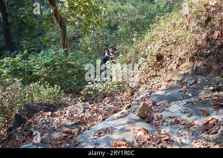 Un trekking all'interno del Karnala Bird Sanctuary Foto Stock