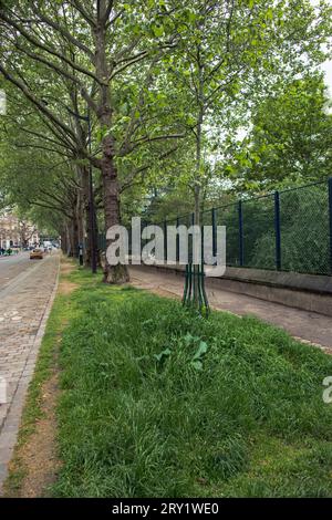 Francia, Parigi, 75, tredicesimo distretto, Rue Croulebarbe, marciapiede erboso, 04/2022. Foto Stock