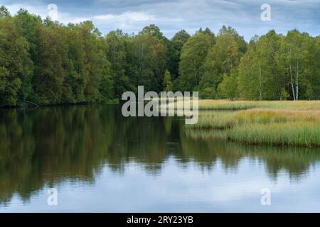 Wasserfläche im Roten Moor bei Gersfeld Landkreis Fulda in Assia in der Rhön. DAS zweitgrößte Hochmoor der Rhön liegt im Biosphärenreservat Rhön. *** Superficie idrica nel Moor Rosso vicino a Gersfeld Contea di Fulda in Assia nel Rhön la seconda palude rialzata più grande del Rhön si trova nella riserva della biosfera di Rhön Foto Stock