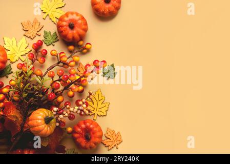 Vista dall'alto di foglie e zucche autunnali con spazio per il testo su sfondo chiaro. Sfondo del concept autunnale Foto Stock