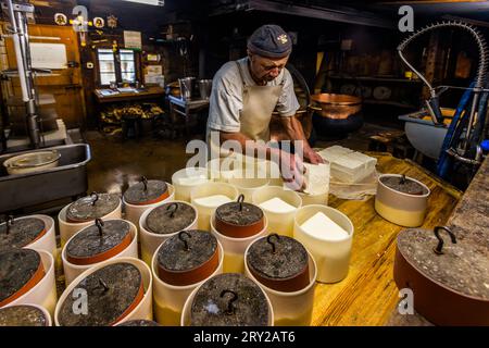 In estate, i visitatori del caseificio alpino Moléson-sur-Gruyères possono sperimentare come viene prodotto il formaggio. Moléson nel cantone di Friburgo, Svizzera Foto Stock