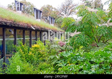 Erba verde del tetto che cresce sull'edificio e grandi arbusti presso l'Horniman Museum Garden a East Dulwich South London autunno 2023 UK KATHY DEWITT Foto Stock