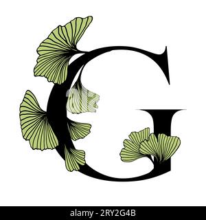 Ginkgo biloba lascia l'alfabeto G. distintivo e icona in stile lineare e alla moda disegnato a mano. Lettera dell'emblema del logo vettoriale e ramo ginkgo. Illustrazione per cosme Illustrazione Vettoriale