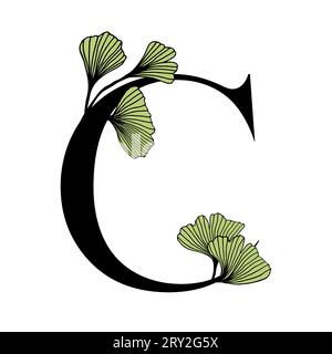 Ginkgo biloba lascia l'alfabeto C . Distintivo e icona in stile elegante e lineare disegnato a mano. Lettera dell'emblema del logo vettoriale e ramo ginkgo. Illustrazione del cosmo Illustrazione Vettoriale