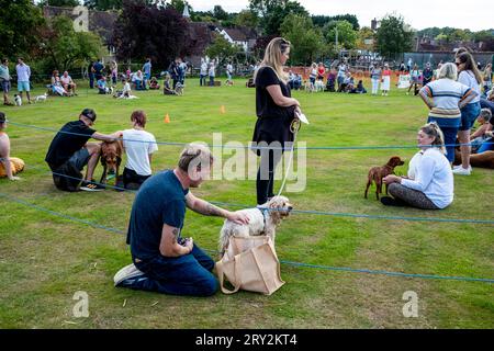 La gente del posto e i loro animali domestici partecipano A Una tradizionale mostra canina, Hartfield Village Fete, Hartfield, East Sussex, Regno Unito. Foto Stock