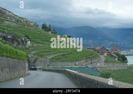 LOSANNA, SVIZZERA, meravigliosi vigneti terrazzati di Lavaux sul lago Leman Foto Stock