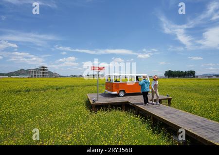 Zunhua City, Cina - 13 maggio 2023: I turisti accanto all'autobus sono nel parco, nella Cina settentrionale Foto Stock