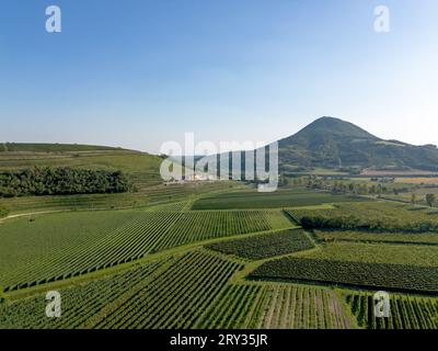 Veduta aerea del paesaggio della campagna vinicola italiana con viti di vigneti su dolci colline nella campagna da Vo in Colli Euganei a Padova Foto Stock