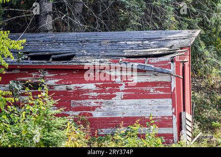 Capannone in legno dipinto di rosso nei boschi Foto Stock