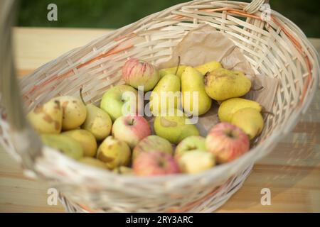 Pere e mele nel cestello. Cestino di vimini. Frutta matura. Cibo sano. Foto Stock