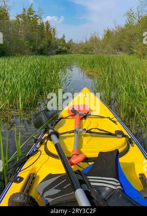 Una delle cose che amo fare per le attività ricreative all'aperto nella contea di Door è andare in kayak nei numerosi ruscelli e laghi dell'entroterra, nonché sul lago Michigan. Foto Stock