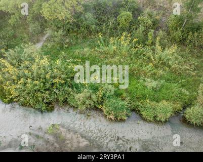 Riva del fiume Dismal poco profondo e sabbioso con fiori selvatici, vista aerea in tarda estate Foto Stock