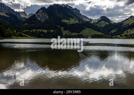 Scultura di un prankster. Mostro marino con pinna di balena a Schwarzsee, Svizzera Foto Stock