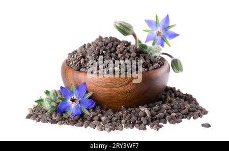 Semi di borragine con fiori in ciotola di legno, isolati su sfondo bianco. Borago officinalis semi e fiori. Foto Stock