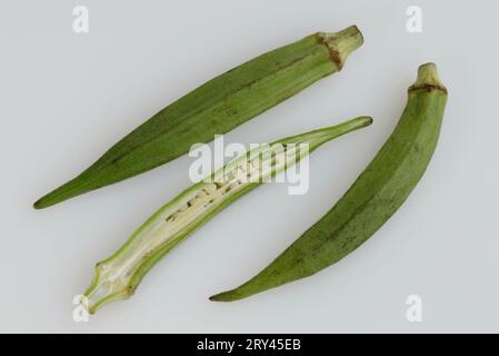 Gumbo, okra (Abelmoschus esculentus) vegetale, famiglia malva, Malvaceae, coltura, dettaglio, oggetto, verde, interno, studio, paesaggio, orizzontale, cibo Foto Stock