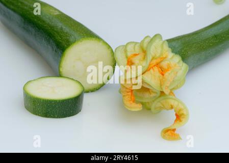 Bufere da giardino (Cucurbitaceae), paesaggio, orizzontale, interno, studio, cibo, cibo Foto Stock