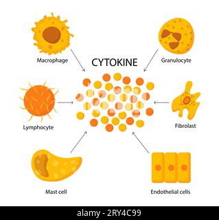 Concetto di vettore della struttura citochina Illustrazione Vettoriale