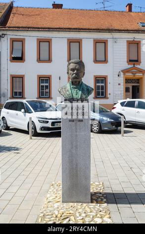 Ljutomer, Slovenia - 14 luglio 2023: Franc Miklosic è stato un filologo sloveno Foto Stock