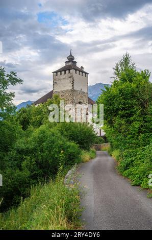 Foto verticale - strada che porta al castello di Werdenberg, Svizzera Foto Stock