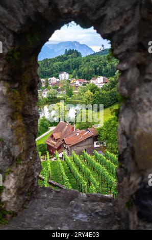 Werdenberg è una città con carta storica nel cantone svizzero orientale di San Gallo. È la città più piccola della Svizzera. Vista dal cast Foto Stock