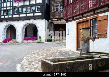 Werdenberg è una città del cantone svizzero orientale di San Gallo. È la più piccola città della Svizzera. Foto Stock