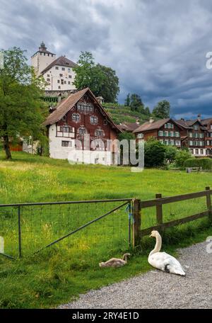 Werdenberg è una città del cantone svizzero orientale di San Gallo. È la più piccola città della Svizzera. Foto Stock