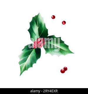 Acquerello christmas holly Berry. Illustrazione simbolo botanico di dicembre di Capodanno isolata su sfondo bianco. Per designer, decorazione, negozio, per p Foto Stock