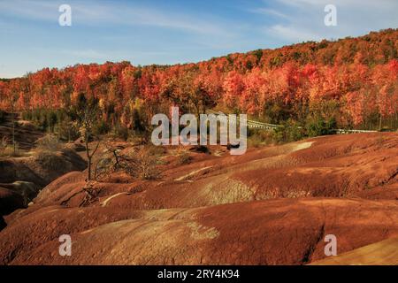 Autum a Cheltenham Badlands a Caledon, Ontario Canada, autunno canadese, alberi di acero rosso Foto Stock