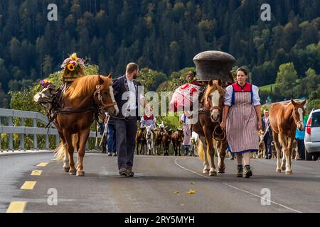 I cavalli trascorrono anche l'estate sull'alpe. Qui un cavallo porta un grande calderone dal Käsealp fino alla valle. Il bestiame cerimoniale autunnale si sposta dai pascoli di montagna alla valle di Plaffeien, in Svizzera. Processione alpina a Oberschrot. Ogni anno, in autunno, il bestiame viene portato dall'estate sull'alpe al villaggio in processione. Foto Stock