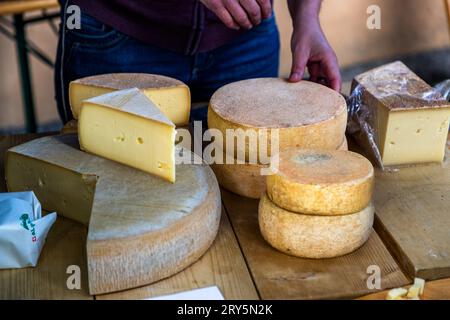 Diverse ruote di formaggio, la più grande tagliata per mostrare una crosta giallo-dorata, sono appoggiate su un tavolo di legno mentre una mano regola una delle ruote. La vendita di formaggio fa parte della tradizionale festa del villaggio che accompagna la transumanza autunnale del bestiame a Oberschrot, comune di Plaffeien, cantone di Friburgo, Svizzera. Foto Stock