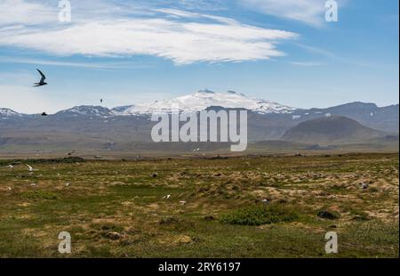 Il ghiacciaio Snæfellsjökull in Islanda in un giorno d'estate Foto Stock