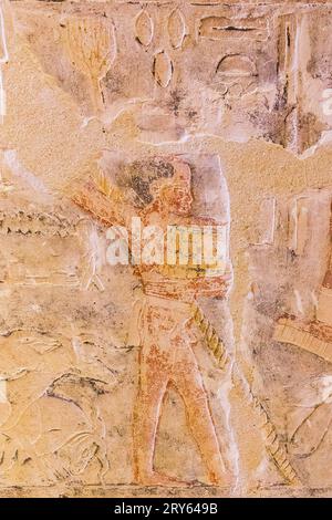 Egitto, Saqqara, tomba di Mehu, agricoltura: Semina di cereali. Foto Stock
