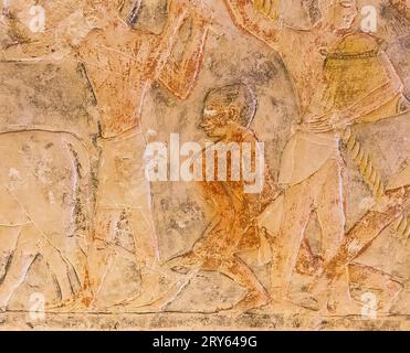 Egitto, Saqqara, tomba di Mehu, agricoltura: Aratura. Foto Stock